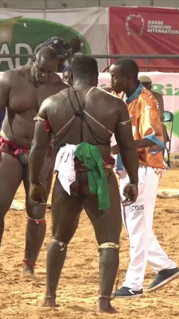 Temps Forts🔥🔥 du Combat Reug reug vs Bombardier  #lutte221 #luttesenegalaise #221live #lambsenegal #pourtoi #pourtoipage #foryou #foryourpage #lambsenegal #pourtoipage