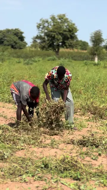 Tay mom dama rousse 🥺🥺😂 #modou_comedien #ousseynoucomedy #sénégaltiktok #pourtoii