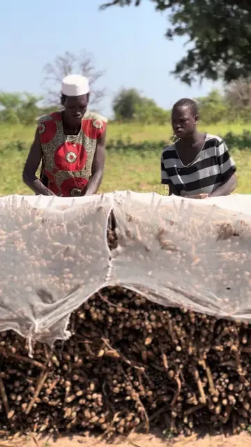 Kéneu douma doflo mane 🥺😂 #modou_comedien #ousseynoucomedy #ngagnecomedien #sénégaltiktok #pourtoii