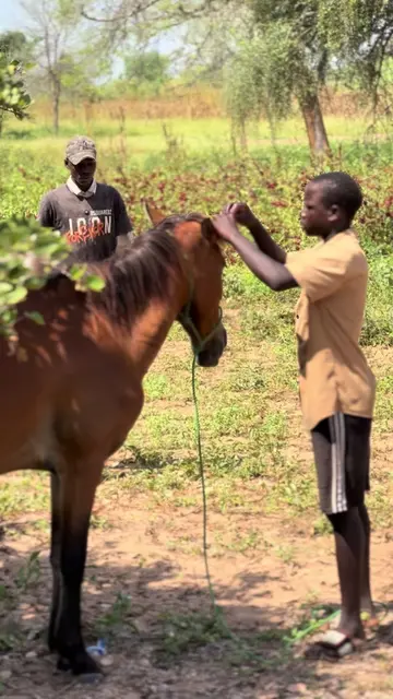 Ouséynou meunou léne si mane dara 😂😂 #modou_comedien #ousseynoucomedy #ngagnecomedien #sénégaltiktok #pourtoii