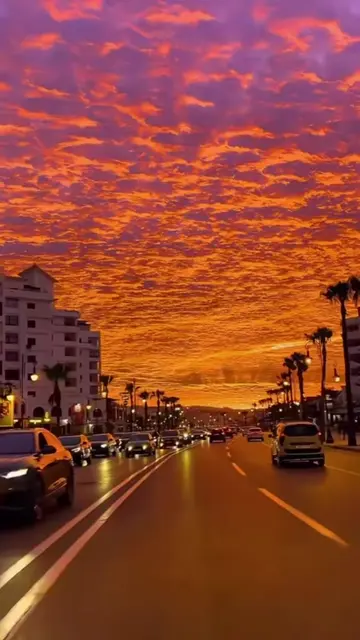 Voici comment faire ce genre de vidéo avec TikTok après avoir générer votre photo avec l’application Gemini #astuce  #tiktok_gemini  Si vous voulez être viral,utilisez les nouvelles fonctionnalités de TikTok comme le texte et le grille (vous choisissez 4 cases ou plus Si vous voulez passer en live cliquez sur passer en live en bas à gauche #LIVEIncentiveProgram #GoLIVEGrowFast #PaidPartnership