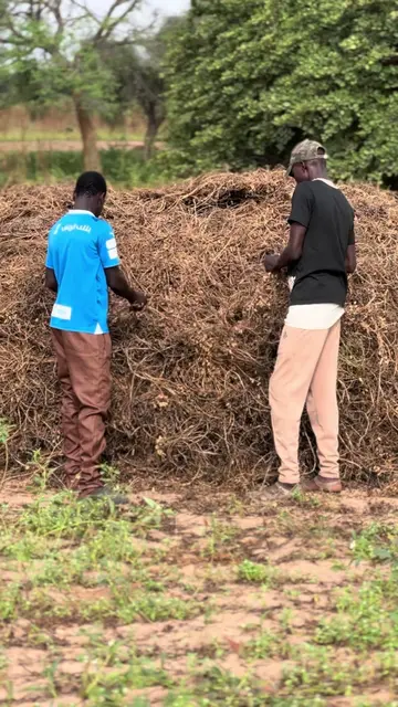 Mongui nonou #modou_comedien #ousseynoucomedy #ngagnecomedien #sénégaltiktok #pourtoi @ousseynou comedy @al badrii