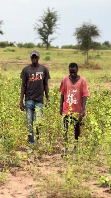 Kéneu djital ba paré fima fakastal 🥺😂 #modou_comedien #ousseynoucomedy #ngagnecomedien #sénégaltiktok #pourtoi
