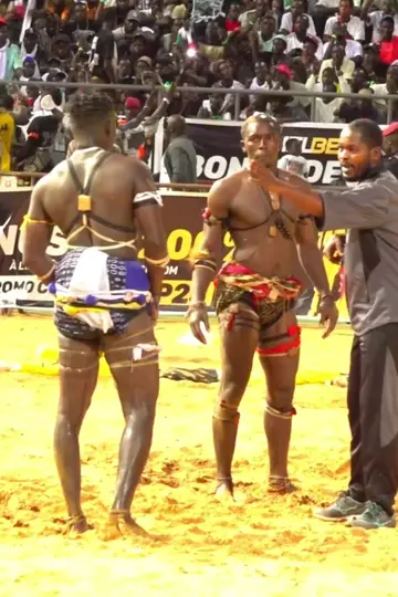 Temps Forts du Combat FilsdeBM vs FilsdeMbaye Gueye 🔥💪#foryoupage #viralvideo #lutte221tv #221live #pourtoi