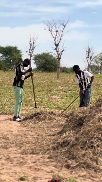 Mongui nonou gars niou déf ko gaw @Marodi TV #modoucomedien #ousseynoucomedy #ngagnecomedien #sénégal #pourtio