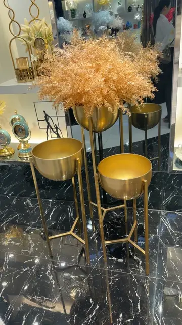 Vidéo TikTok virale de @mamanvulgair4 – tendance | DiodioGlow