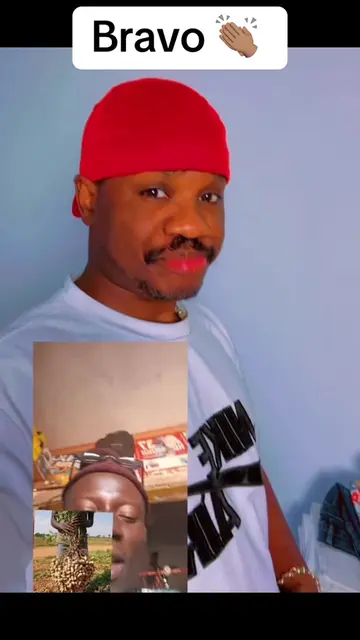 Vidéo TikTok virale de @tonss81 – tendance | DiodioGlow