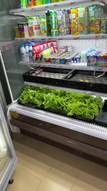 Vidéo TikTok virale de @mmk2.00 – tendance | DiodioGlow