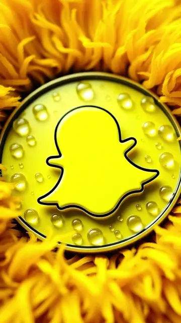 Voici l’astuce snapchat que tu dois activer si tu ne veux pas etre localisé.  #CapCut #snapchat #astuce #tips #heynasser