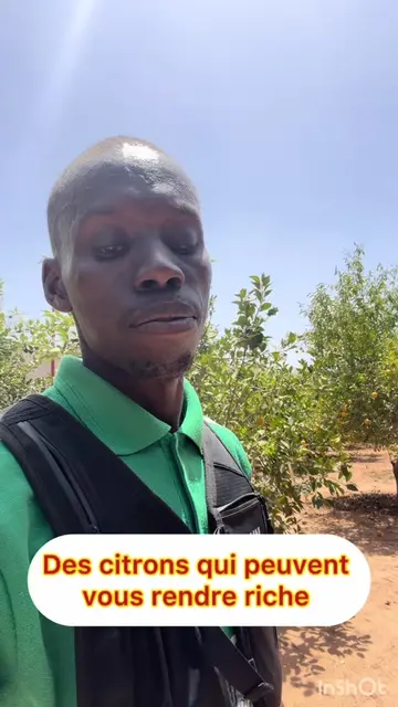 Des citrons qui peuvent vous rendre riche. Nous sommes dans une société où le partage d’opportunité est considéré comme une façon de réduire ses chances de succès. Voilà ce qui me différencie des autres. Rien ne peut m’empêcher de réussir et d’atteindre mes objectifs j’y crois profondément. Seulement cette réussite aura plus d’impact si j’embarque une masse critique de personnes qui réussissent avec moi.  Et une partage d’informations fluide et sans retenue va paraître si facile et accessible que certains vont aussi tôt voir « un rêve qui se vend ». Il n’existe pas dans le monde un rêve qui n’est pas avant tout vendu à notre cerveau, avant qu’il décide de l’acheter par la plus puissante des monnaies au monde qui est l’ACTION.  Si le terme « vendre un rêve » n’est pas aimé, c’est parce que la monnaie qui l’achète (l’ACTION) n’a pas de valeur dans notre société. Ça ne vous coûte rien d’essayer. Alors essayez, échouez, reprenez, perdez de l’argent, reculez, réfléchissez, ajustez, recadrez, souffrez etc et vous trouverez la formule magique tôt ou tard. Retenez que mes messages n’est pas adressé a tout le monde mais  juste au 5% des Agripatriotes qui ont compris que le développement de ce pays se trouve avant tout dans le partage des forces et des opportunités afin de donner à chacun la chance de sa vie. Alors partagez le peu de ce que vous avez car une seule de vos phrases peut être la clé du succès de celle où celui qui vous écoute. Et si vous impactez sur une personne, vous impactez sur un ménage.