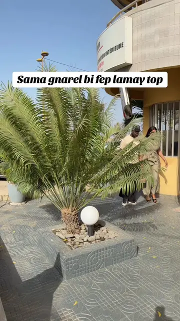 Vidéo TikTok virale de @abba_no_stress1 – tendance | DiodioGlow