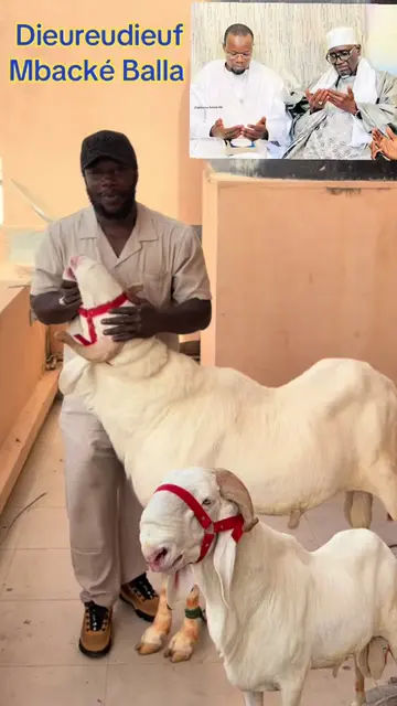Alhamdoulilah #viraltiktok #parati #tiktokindia #anime #meme