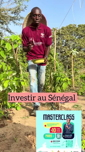 Investissez au Sénégal  ✨ MASTERCLASS — ÉDITION 2 ✨ 🎟️ LA  BILLETERIE EST ENFIN DISPONIBLE! Certaines journées changent une trajectoire. Le 10 octobre 2026 peut être la vôtre. À Massy, nous réunissons une communauté d'entrepreneurs, d'investisseurs, de porteurs de projets et de décideurs qui ont une chose en commun : ils ne subissent pas les opportunités — ils les créent. Cette Masterclass, c'est bien plus qu'un événement. C'est un investissement. En vous. Dans votre réseau. Pour votre avenir. Elle aura lieu au  📍 17 Voie de Wissous, 91300 Massy 📅 10 octobre 2026 à partir de 8h30 💎 Cette année, nous allons encore plus loin. Chaque billet, c'est une porte ouverte sur des connexions stratégiques, des opportunités concrètes, et un patrimoine qui se construit dans la durée. Parce que les meilleures décisions se prennent entouré des bonnes personnes. Et pour clôturer cette journée d'exception ? Un dîner d'affaires 🥘 à la Tour Eiffel. 🎟️ Billetterie  — le lien ici ⚠️ Places strictement limitées pour garantir la qualité des échanges. 📲 Rejoignez dès maintenant notre groupe officiel pour accéder en avant-première aux annonces exclusives et aux opportunités d'investissement. À dans quelques mois. Prêt(e) à passer à un autre niveau ? 🚀@DIASPAGRO