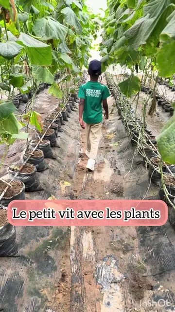 Il vit avec les plants. Ses explications c’est une Masterclass des fois. ————————————— Investissez au Sénégal  ✨ MASTERCLASS — ÉDITION 2 ✨ 🎟️ LA  BILLETERIE EST ENFIN DISPONIBLE! Certaines journées changent une trajectoire. Le 10 octobre 2026 peut être la vôtre. À Massy, nous réunissons une communauté d'entrepreneurs, d'investisseurs, de porteurs de projets et de décideurs qui ont une chose en commun : ils ne subissent pas les opportunités — ils les créent. Cette Masterclass, c'est bien plus qu'un événement. C'est un investissement. En vous. Dans votre réseau. Pour votre avenir. Elle aura lieu au  📍 17 Voie de Wissous, 91300 Massy 📅 10 octobre 2026 à partir de 8h30 💎 Cette année, nous allons encore plus loin. Chaque billet, c'est une porte ouverte sur des connexions stratégiques, des opportunités concrètes, et un patrimoine qui se construit dans la durée. Parce que les meilleures décisions se prennent entouré des bonnes personnes. Et pour clôturer cette journée d'exception ? Un dîner d'affaires 🥘 à la Tour Eiffel. 🎟️ Billetterie  — le lien ici👉 https://masterclass.diaspagro.com ⚠️ Places strictement limitées pour garantir la qualité des échanges. 📲 Rejoignez dès maintenant notre groupe officiel pour accéder en avant-première aux annonces exclusives et aux opportunités d'investissement👉: -https://chat.whatsapp.com/HSGXapKuhBk7wNGlECaeEL -+33 6 05 79 20 92 À dans quelques mois. Prêt(e) à passer à un autre niveau ? 🚀