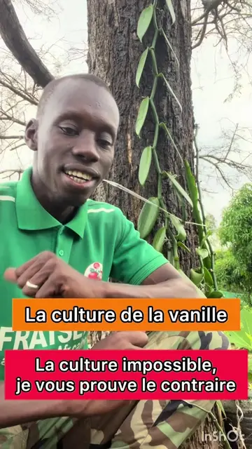 La culture de la vanille au Sénégal