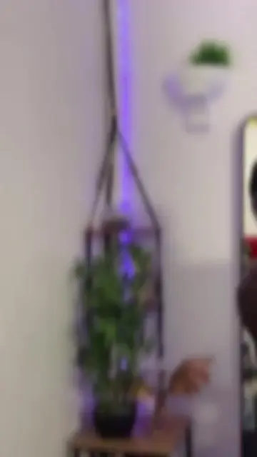 Vidéo TikTok 🤣🤣 de @mmk2.00 – tendance | DiodioGlow