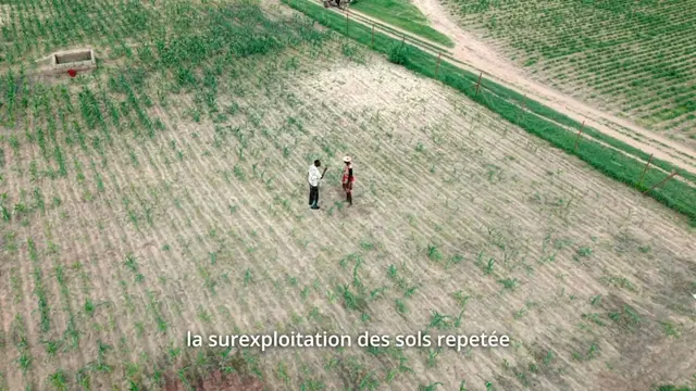 Pourquoi certaines cultures peinent-elles à se développer malgré tous les efforts consentis ? L'acidité des sols pourrait en être la cause. Découvrez comment identifier ce problème et comment TerraCalco peut vous aider à restaurer la fertilité de vos terres. ✅ TerraCalco : Des sols fertiles, des récoltes abondantes, des aliments sains. 👉 Rendez-vous dans le prochain épisode pour découvrir comment TerraCalco accompagne les producteurs vers des sols plus productifs. #TerraCalco #SolsAcides #AgricultureDurable #ChauxAgricole